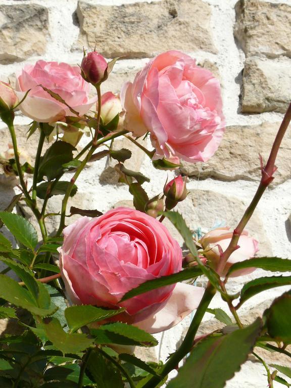 Gite Du Clos De La Vigne Villa Montreuil  Kültér fotó